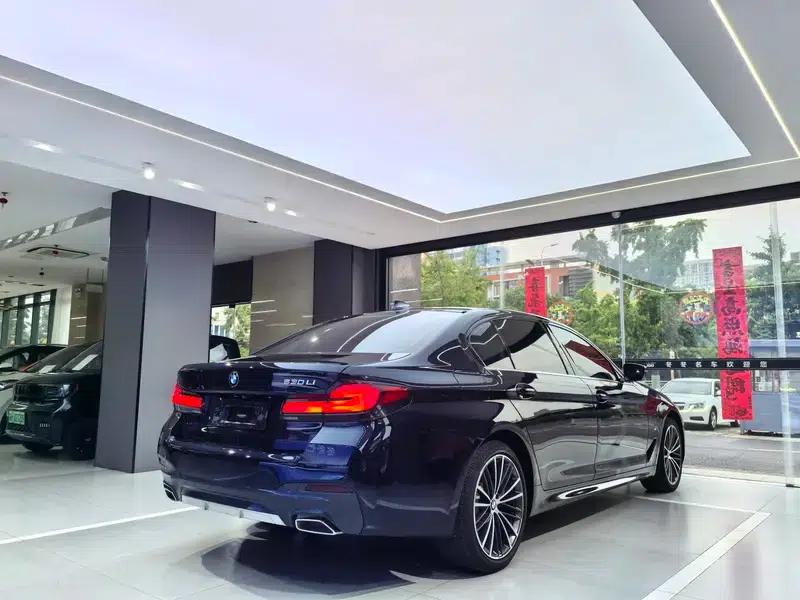 2021 BMW 5 Series 530Li Leading Edition M Sport Package — миниатюра 6