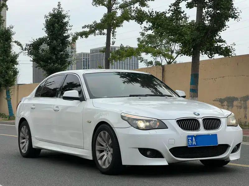 BMW 5 Series 2008 530Li Leading Edition — миниатюра 3