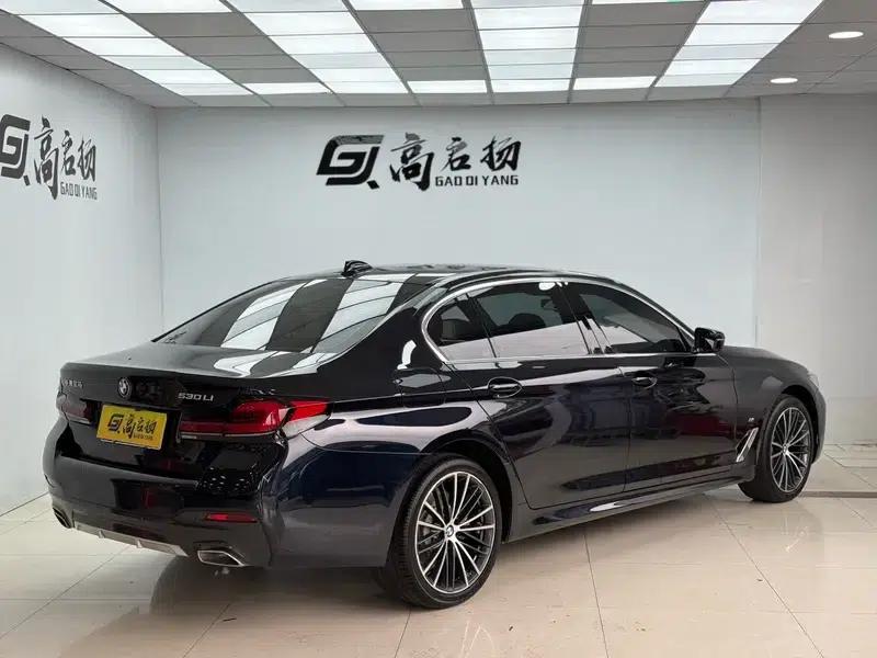 2022 BMW 5 Series 530Li Leading Edition M Sport Package — миниатюра 6