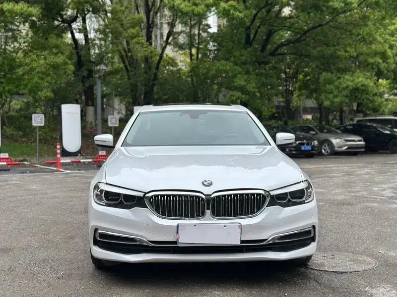2019 BMW 5 Series Facelift 525Li Luxury Package — миниатюра 2
