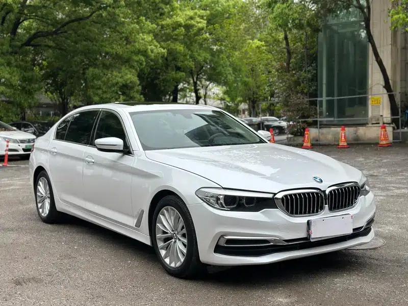 2019 BMW 5 Series Facelift 525Li Luxury Package — миниатюра 3