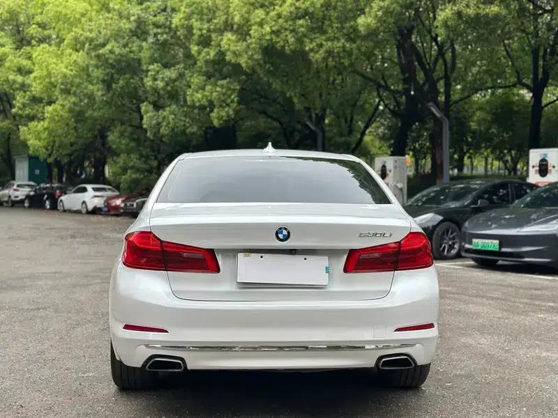 2019 BMW 5 Series Facelift 525Li Luxury Package — миниатюра 6