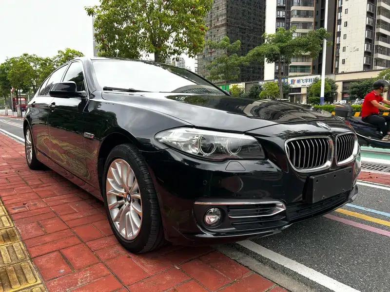 2014 BMW 5 Series 525Li Luxury Design Package — миниатюра 3