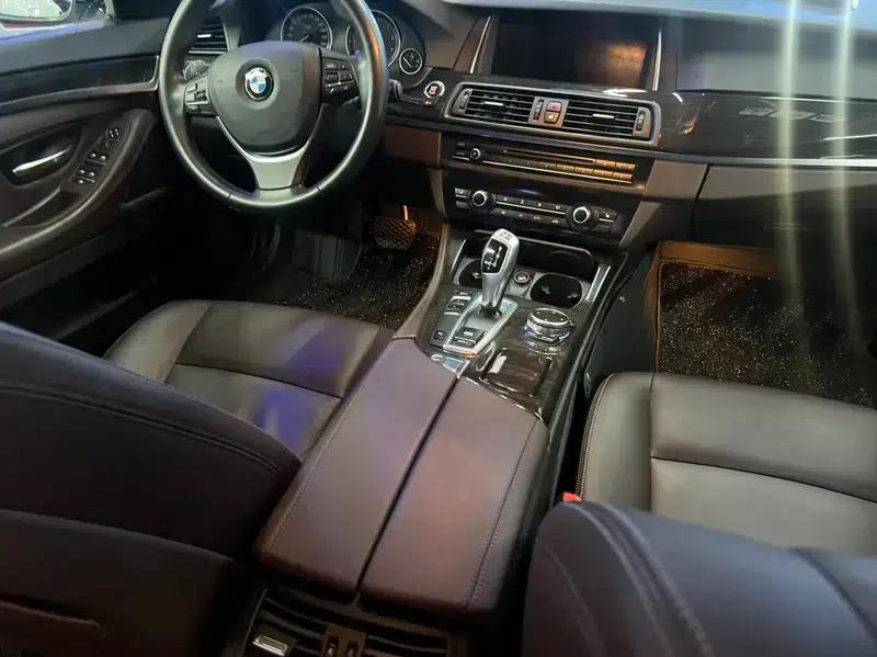 2014 BMW 5 Series 525Li Luxury Design Package — миниатюра 7
