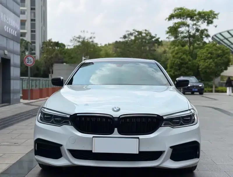 2020 BMW 5 Series 530Li Leading Edition M Sport Package — миниатюра 2