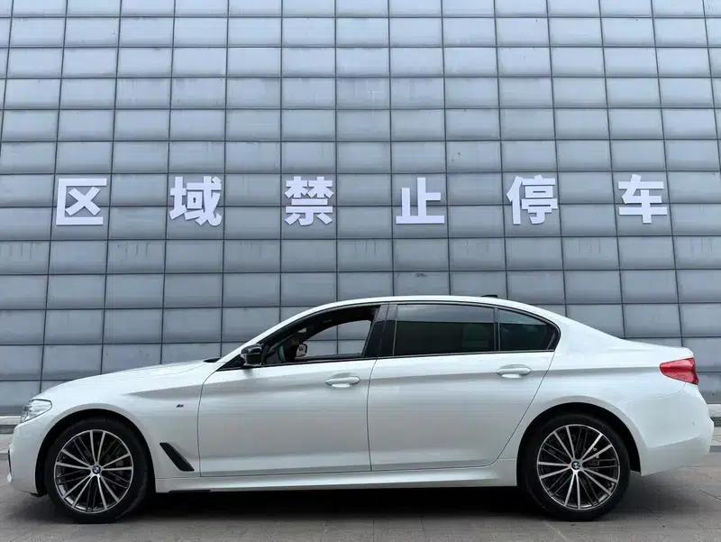 2020 BMW 5 Series 530Li Leading Edition M Sport Package — миниатюра 4