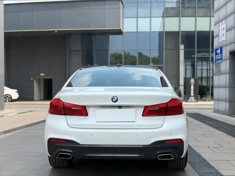 2020 BMW 5 Series 530Li Leading Edition M Sport Package — миниатюра 5