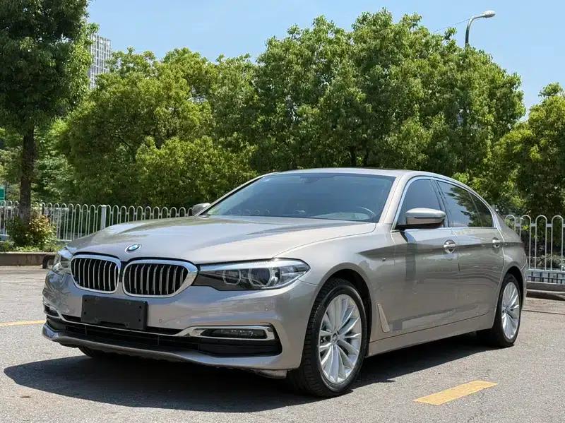 BMW 5 Series 2019 530Li Leading Luxury Package — миниатюра 1