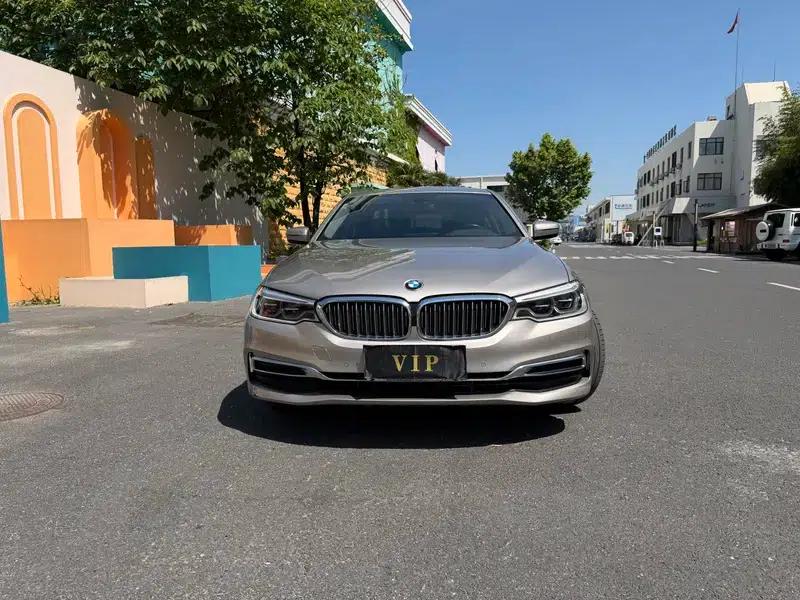 BMW 5 Series 2020 530Li Leading Luxury Package — миниатюра 2