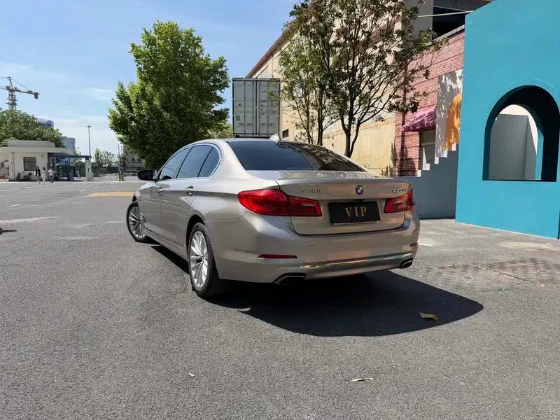 BMW 5 Series 2020 530Li Leading Luxury Package — миниатюра 4
