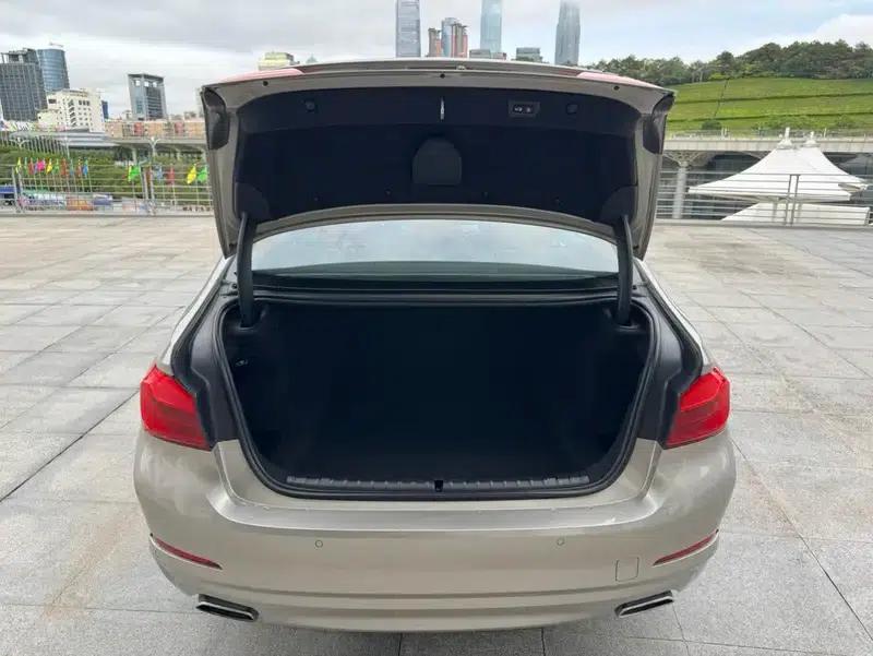 BMW 5 Series 2018 528Li Launch Special Edition — миниатюра 23