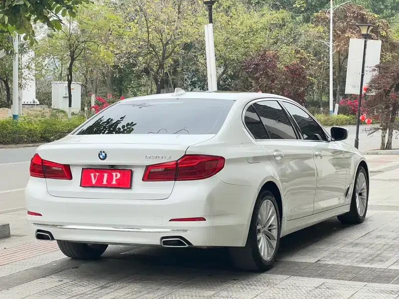 BMW 5 Series 2019 Facelift 530Li Leading Luxury Package — миниатюра 6
