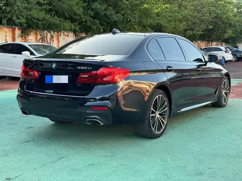2019 BMW 5 Series Facelift 530Li Leading Edition M Sport Package — миниатюра 5