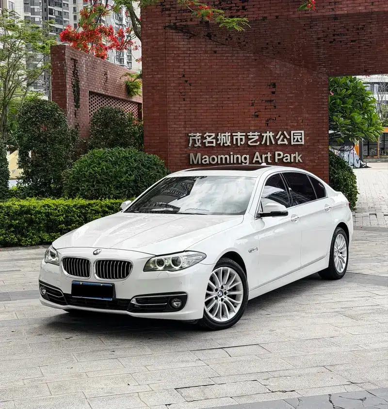 2014 BMW 5 Series 525Li Luxury Design Package — миниатюра 1