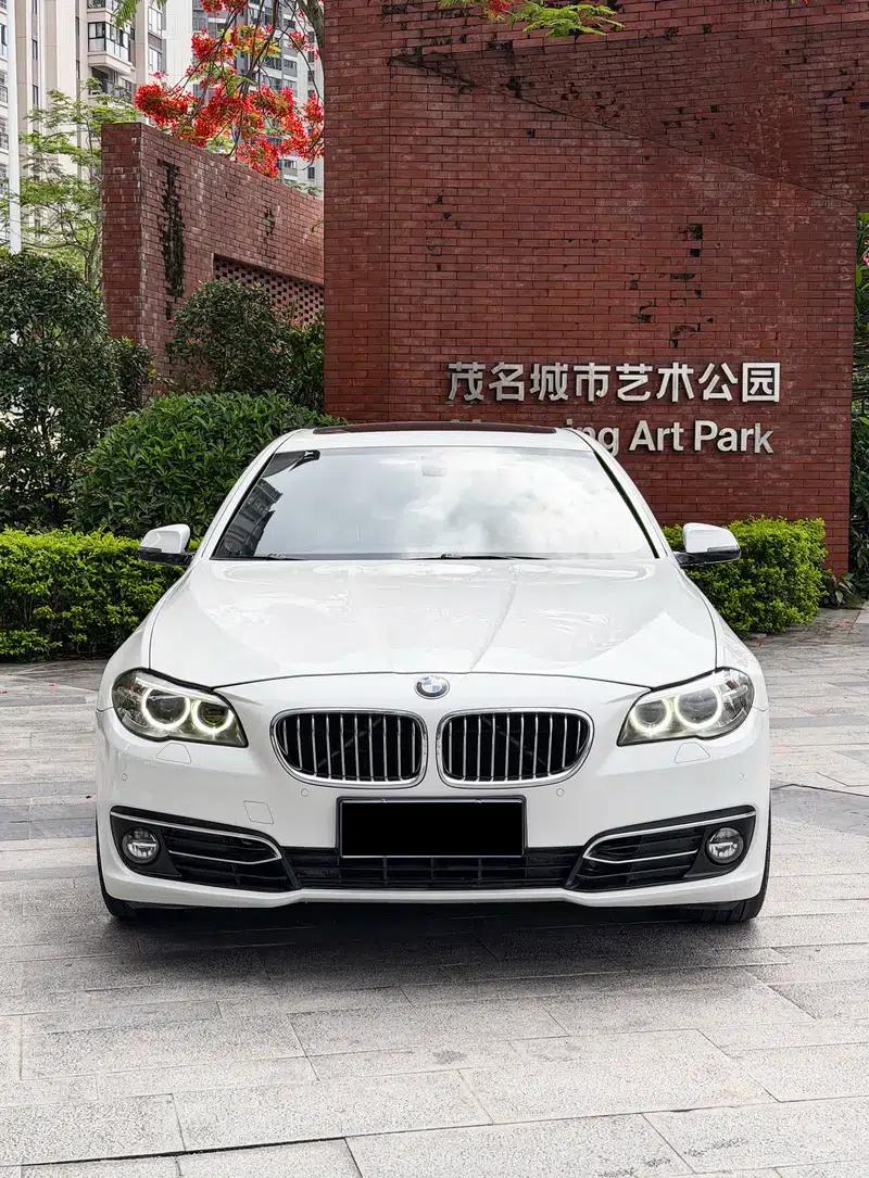 2014 BMW 5 Series 525Li Luxury Design Package — миниатюра 2