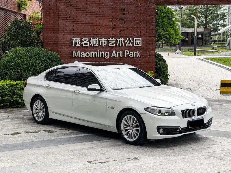 2014 BMW 5 Series 525Li Luxury Design Package — миниатюра 3