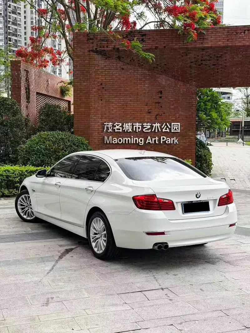 2014 BMW 5 Series 525Li Luxury Design Package — миниатюра 4