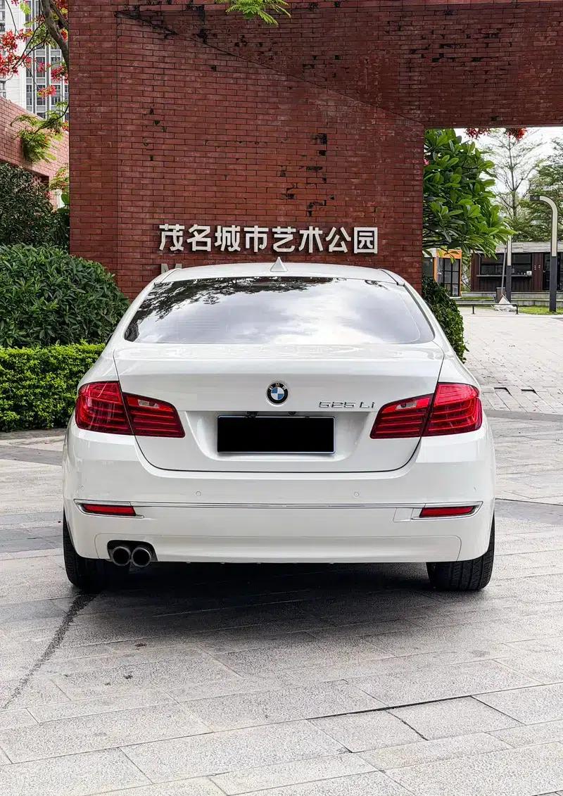 2014 BMW 5 Series 525Li Luxury Design Package — миниатюра 5