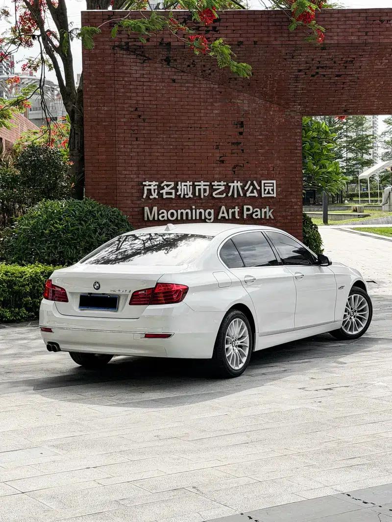 2014 BMW 5 Series 525Li Luxury Design Package — миниатюра 6
