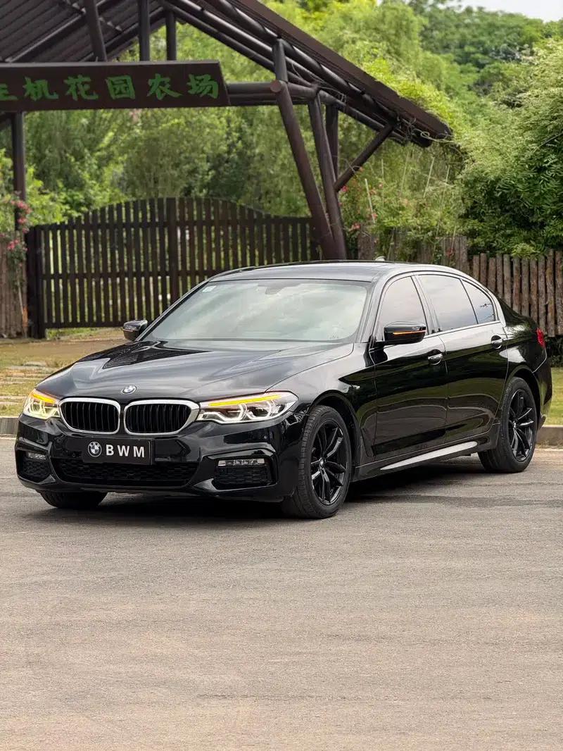 2018 BMW 5 Series 525Li M Sport Package — миниатюра 1