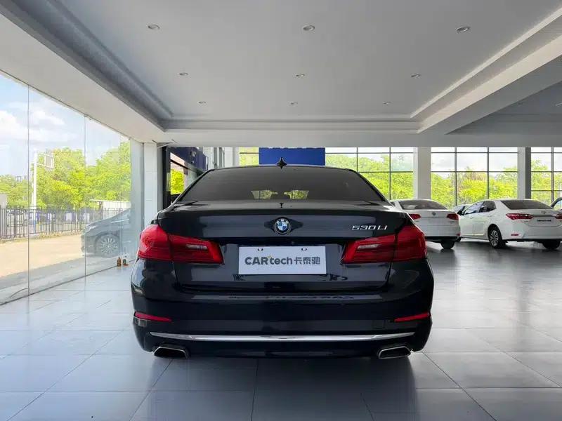 BMW 5 Series 2018 530Li Luxury Package — миниатюра 5
