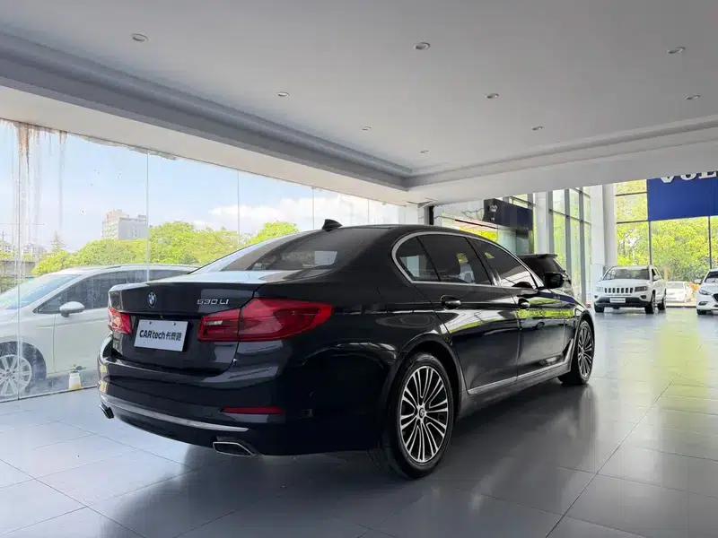 BMW 5 Series 2018 530Li Luxury Package — миниатюра 6