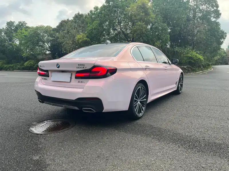 2023 BMW 5 Series 530Li Leading Edition M Sport Package — миниатюра 6