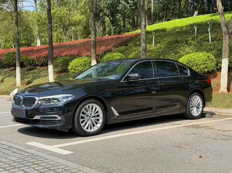 BMW 5 Series 2020 530Li Luxury Package — миниатюра 1