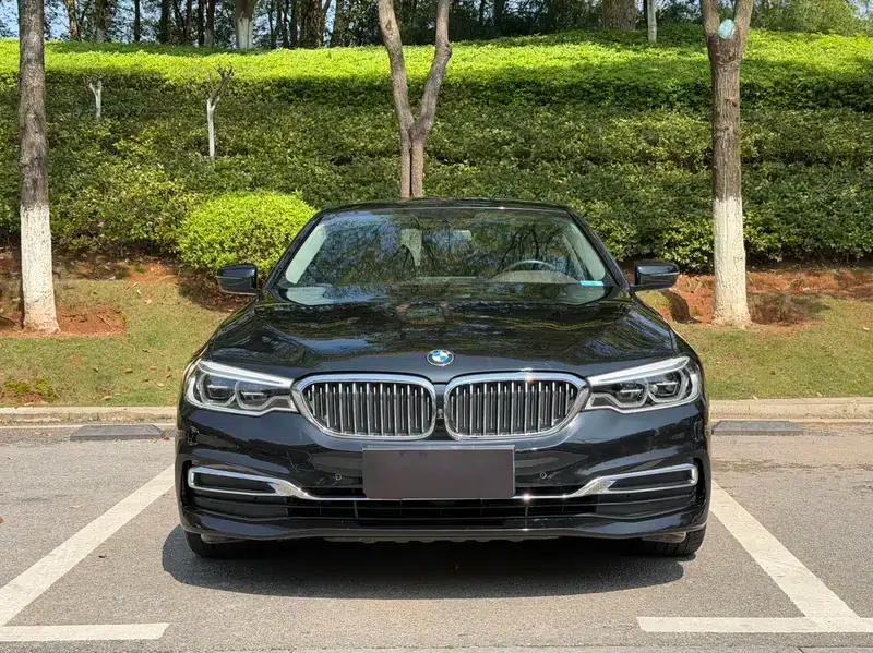 BMW 5 Series 2020 530Li Luxury Package — миниатюра 2