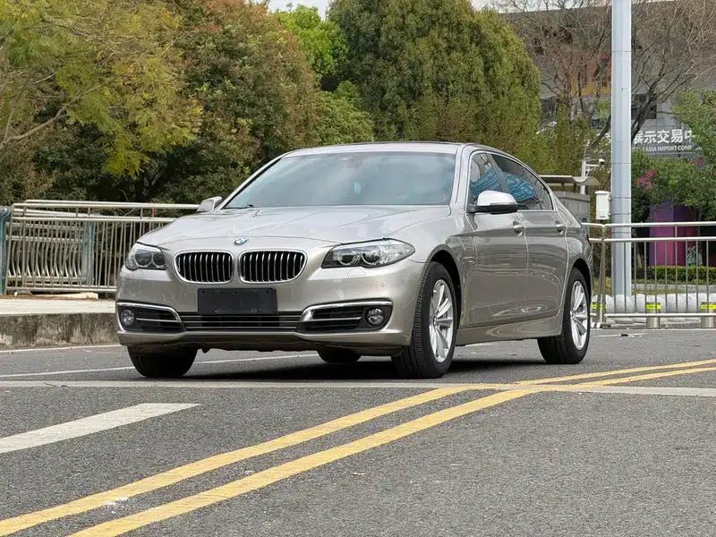 2014 BMW 5 Series 520Li Elegant Edition — миниатюра 1