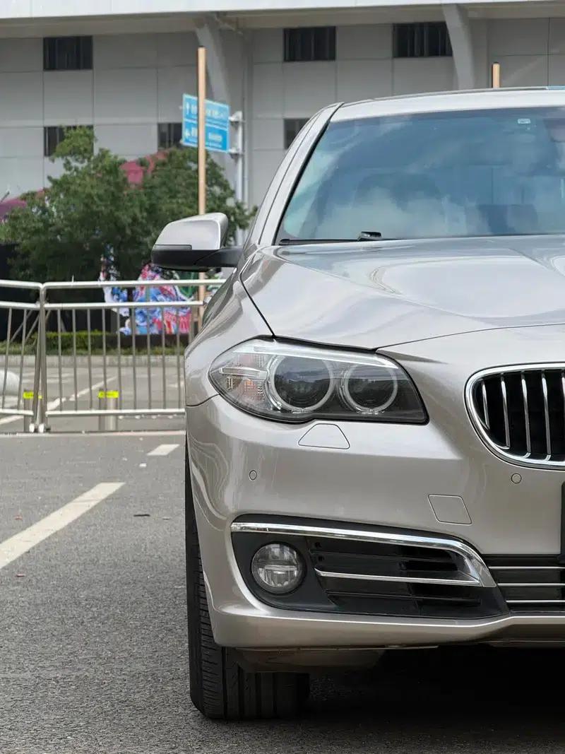 2014 BMW 5 Series 520Li Elegant Edition — миниатюра 10