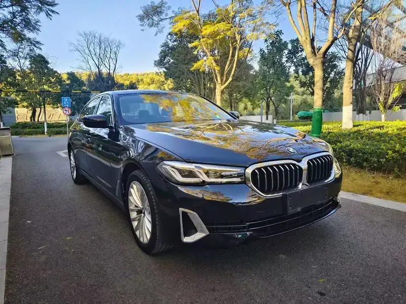 2021 BMW 5 Series 525Li Luxury Package — миниатюра 3