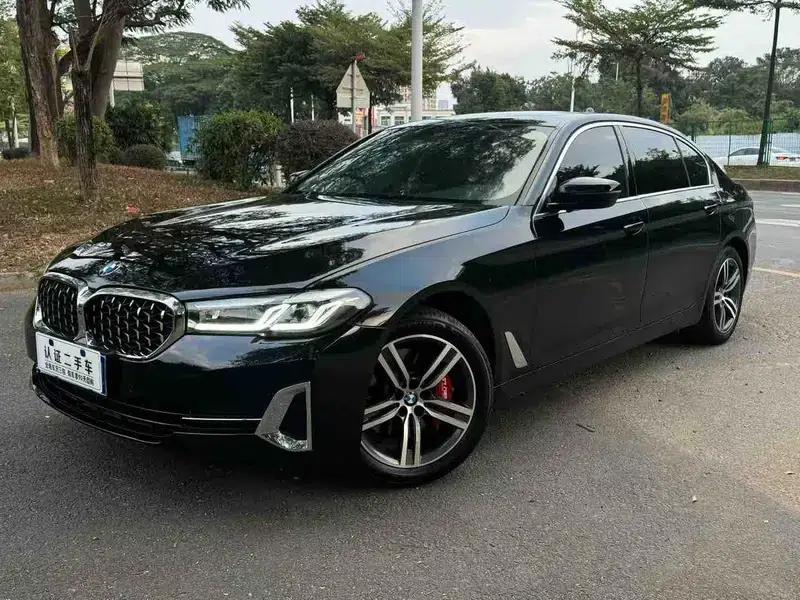 BMW 5 Series 2021 530Li Leading Luxury Package — миниатюра 1