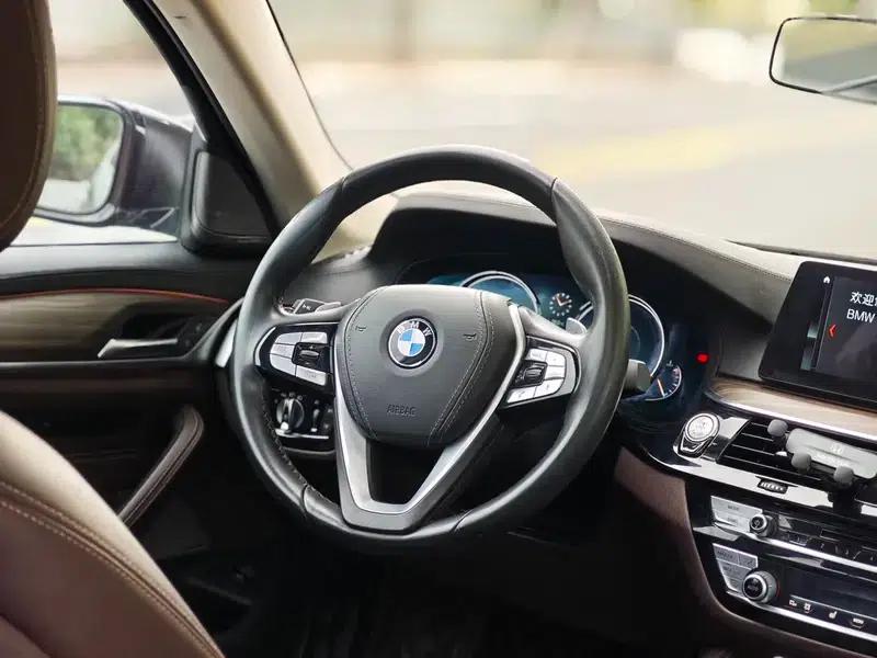BMW 5 Series 2018 530Li Luxury Package — миниатюра 10