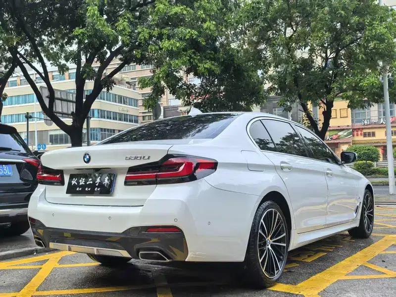 2021 BMW 5 Series Facelift 530Li Leading Edition M Sport Package — миниатюра 6
