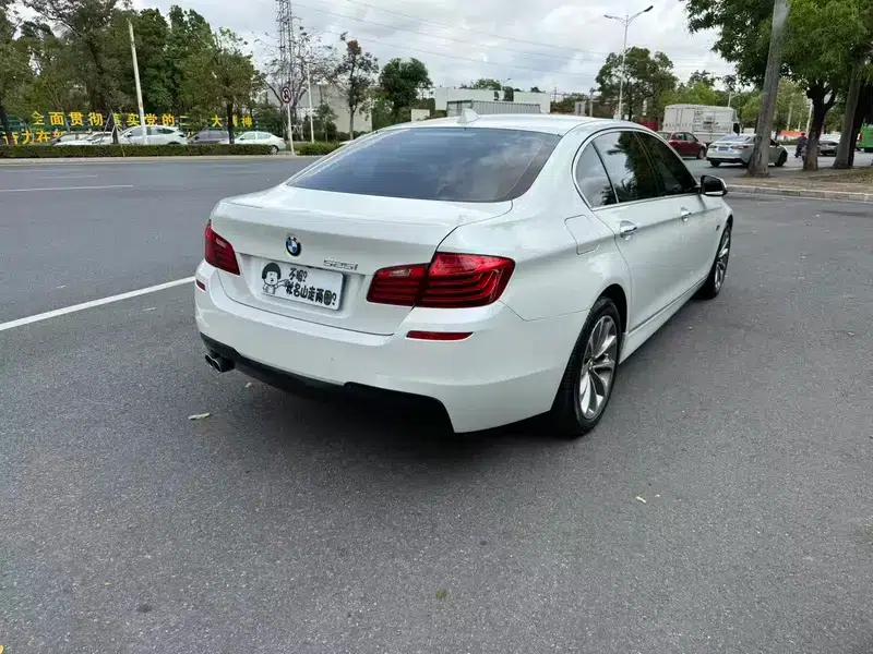 2014 BMW 5 Series 525Li Luxury Design Package — миниатюра 4