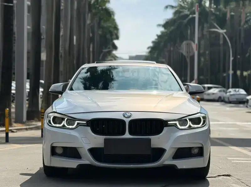 2019 BMW 3 Series 320Li M Sport Package — миниатюра 2