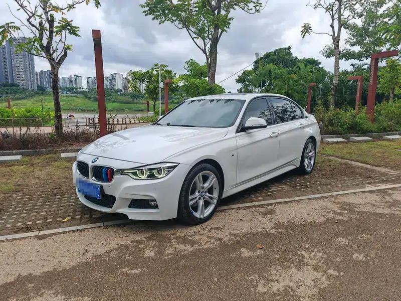 2019 BMW 3 Series 320Li M Sport Package — миниатюра 1