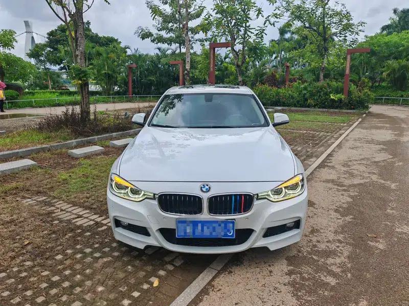 2019 BMW 3 Series 320Li M Sport Package — миниатюра 2