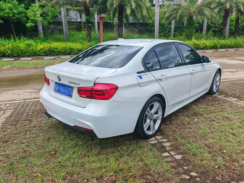 2019 BMW 3 Series 320Li M Sport Package — миниатюра 6
