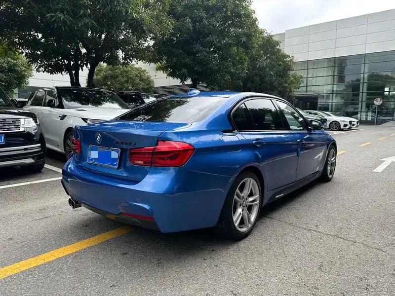 2019 BMW 3 Series 320Li M Sport Package — миниатюра 6