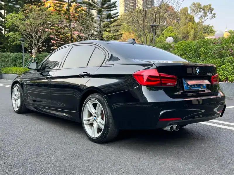 2017 BMW 3 Series 320Li M Sport — миниатюра 5