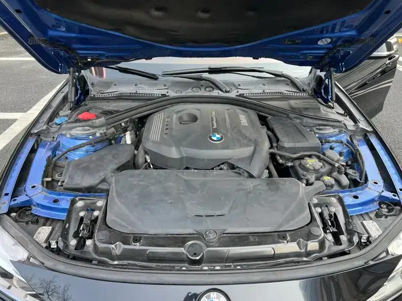 2017 BMW 3 Series 320Li M Sport — миниатюра 8