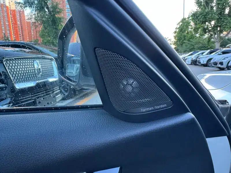 2019 BMW 3 Series 320Li M Sport Shadow Edition — миниатюра 7