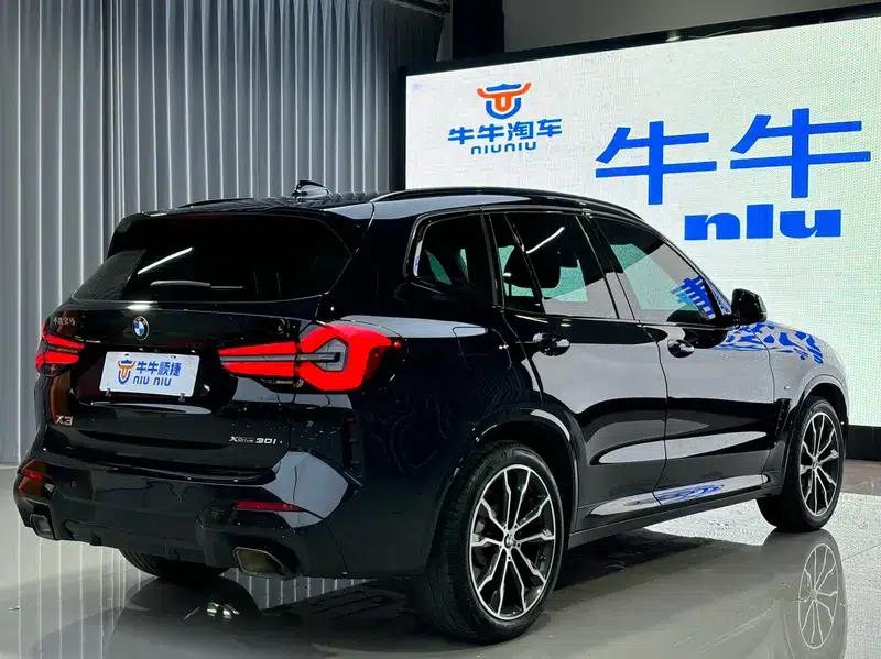 BMW X3 2023 xDrive30i Leading Edition M Sport Package — миниатюра 7