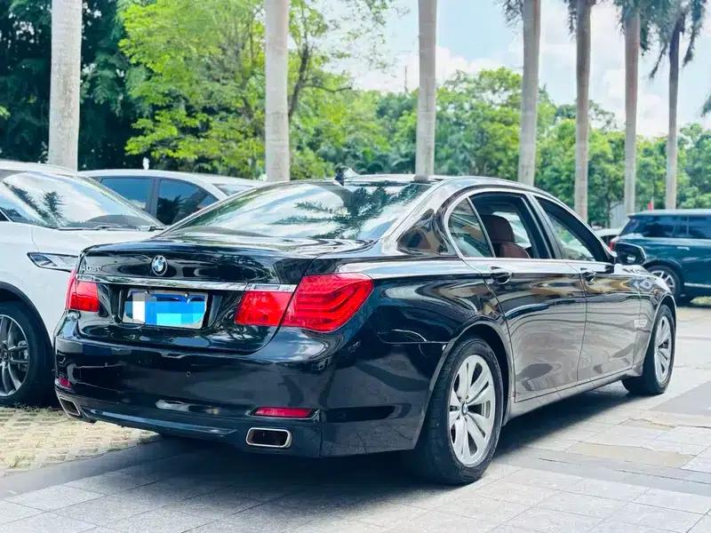BMW 7 Series 2009 730Li Luxury — миниатюра 6