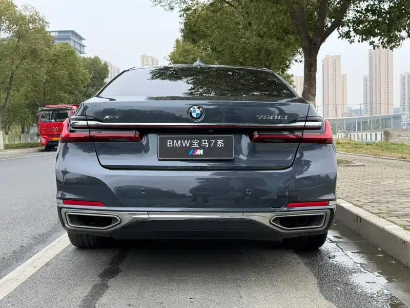 2019 BMW 7 Series Facelift 750Li xDrive V8 Luxury Package — миниатюра 6