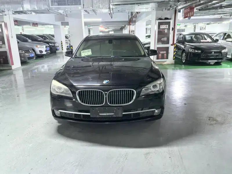 BMW 7 Series 2009 730Li Luxury — миниатюра 2