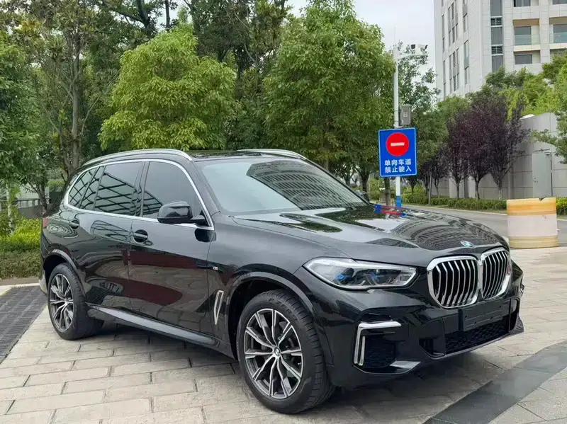 BMW X5 2022 xDrive 30Li Luxury M Sport Package — миниатюра 3