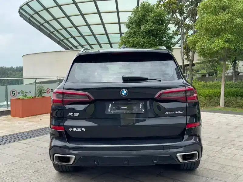 BMW X5 2022 xDrive 30Li Luxury M Sport Package — миниатюра 5
